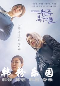付岩洞复仇者们 罗美兰 李枖原 明世彬 全集12集