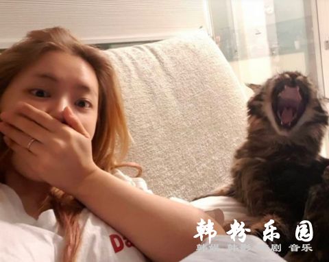 徐宥利的猫咪长得太美了被全韩国羡慕