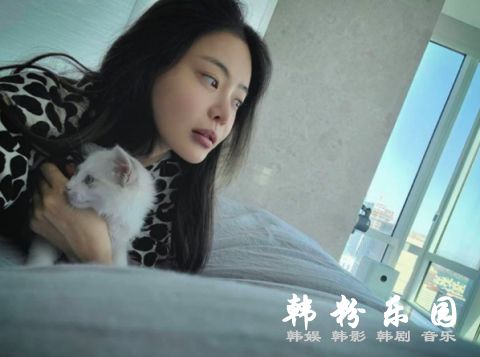 徐宥利的猫咪长得太美了被全韩国羡慕