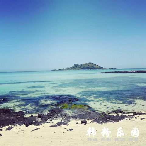 《山茶花开时》孔晓振 孙淡妃同更新IG济州旅游照片