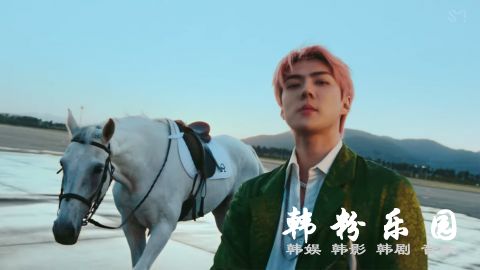 EXO世勋《On Me》MV公开 两位大明星：他的爱犬VIVI、《The King：永远的君主》的白马