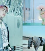 EXO世勋《On Me》MV公开 两位大明星：他的爱犬VIVI、《The King：永远的君主》的白马