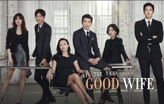 TVN金土剧《Good Wife》全度妍 刘智泰 尹启相 李源根（韩迷网-16/凤凰天使-16完结）