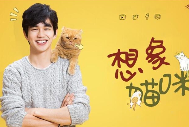 MBC周二剧《想象猫咪》俞承豪 曹惠晶 朴哲民 （更新-08集完结）补充网盘